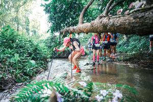 BIB: 
                            <button type="button" onclick="openModal(25454009)" class="btn btn-primary btn-sm float-right btn-popup" data-toggle="modal" data-target=".modal-high-quality">
                        <i class="fas fa-shopping-cart"></i> Add to Cart
                    </button>
                                            <button type="button" onclick="isThisMe(25454009, true)" class="btn btn-success btn-sm float-right btn-popup btn-isme hidden" data-toggle="tooltip" data-placement="bottom" title="นี่คือรูปของคุณใช่ไหม คลิกที่นี่เพื่อเอาเข้าอัลบั้ม">
                        <i class="fas fa-plus"></i> Add to album
                    </button>
                    <button type="button" onclick="isThisMe(25454009, false)" class="btn btn-warning btn-sm float-right btn-popup btn-isnotme hidden">
                        <i class="fas fa-ban"></i> Remove from album
                    </button>